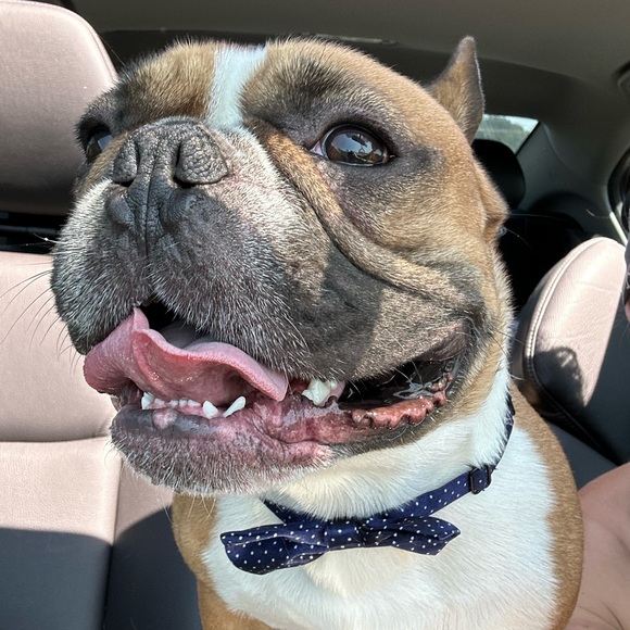 Meet your Posher, Lisa - Picture 6 of 13